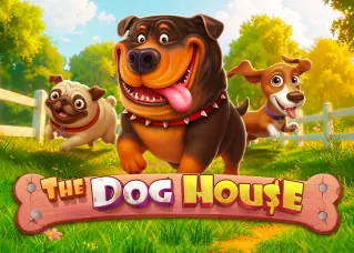 shark66 ทางเข้า The Dog House ทดลองเล่นฟรี